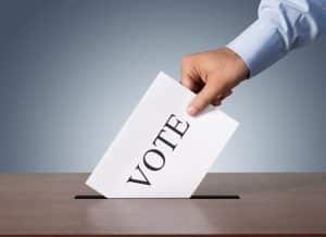 Image result for Voting